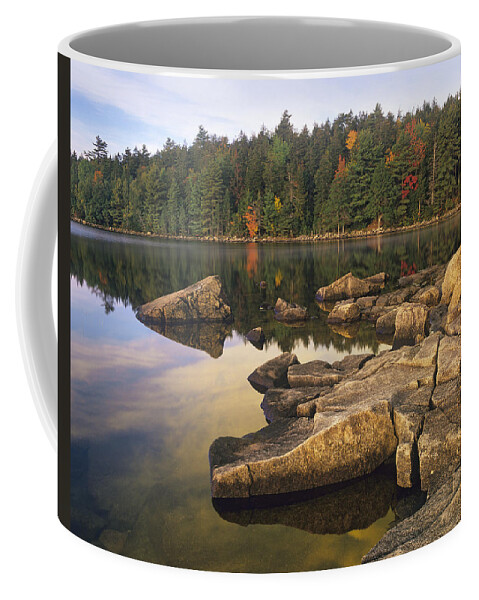 00176832 Coffee Mug featuring the photograph Eagle Lake Acadia National Park Maine by Tim Fitzharris