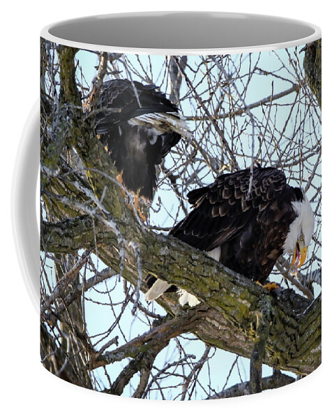 Eagle Coffee Mug featuring the photograph Eagle Lunch by Ray Congrove