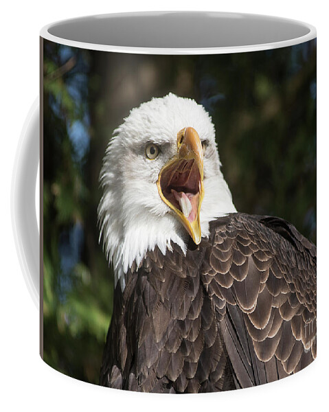 Eagle Coffee Mug featuring the photograph Eagle Screams-2293B by Steve Somerville