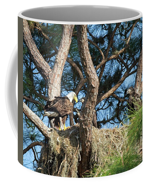Eagle Coffee Mug featuring the photograph Eagle's Nest by Ronald Lutz