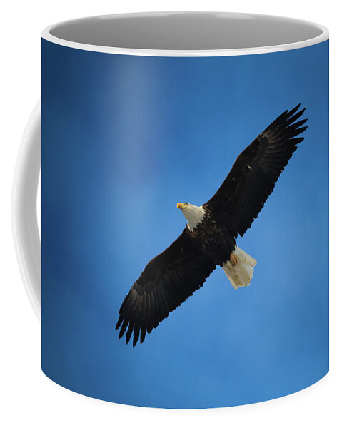 Coffee Mug featuring the photograph Eagle's Wings by Tony HUTSON