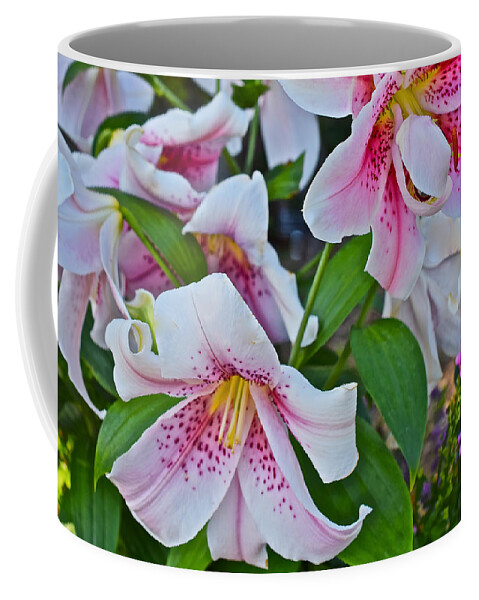 Lilies Coffee Mug featuring the photograph Early August Tumble of Lilies by Janis Senungetuk