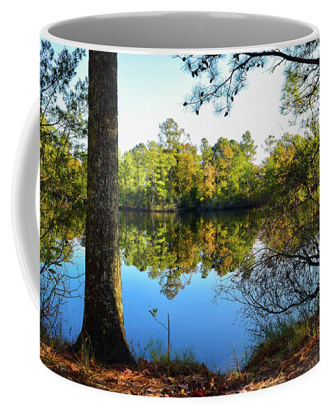 Fall Coffee Mug featuring the photograph Early Fall Reflections by Nicole Lloyd