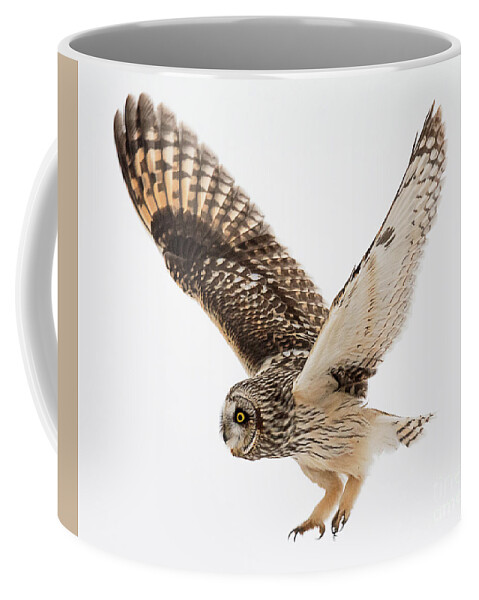 Bird Coffee Mug featuring the photograph Early Morning Hunt by Dennis Hammer