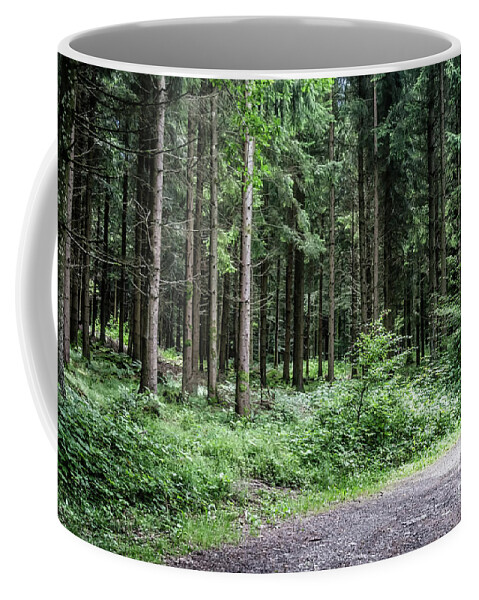 Michelle Meenawong Coffee Mug featuring the photograph Early Morning In The Woods by Michelle Meenawong