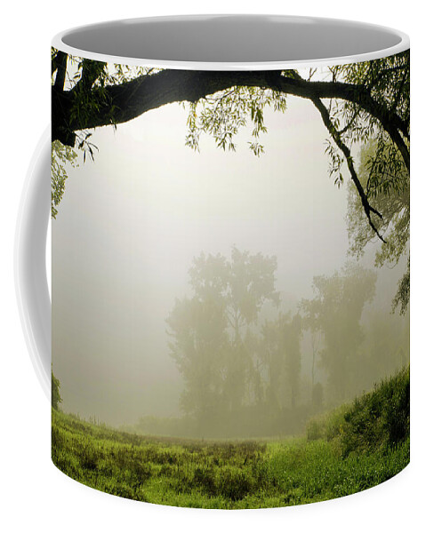 Tree In Fog Coffee Mug featuring the photograph Early Morning Light by Christina Rollo