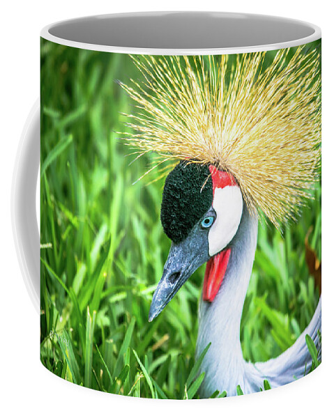East African Crowned Crane Coffee Mug featuring the photograph East African Crowned Crane by Rene Triay FineArt Photos