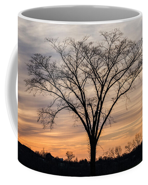 Jan Holden Coffee Mug featuring the photograph Easter 2015 Sunset by Holden The Moment