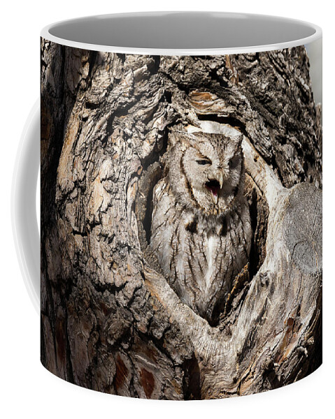 Owl Coffee Mug featuring the photograph Eastern Screech Owl Makes Some Noise by Tony Hake