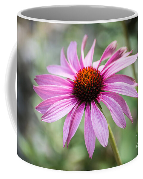 Echinacea Coffee Mug featuring the photograph Echinacea by Hannes Cmarits
