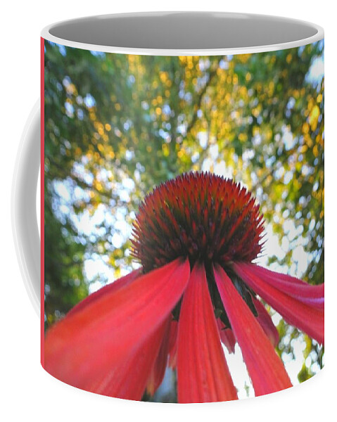 Cone Flower Coffee Mug featuring the photograph Echinacea reaching for the sky by Susan Baker