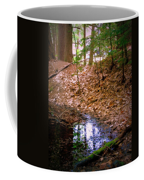 Wetlands Coffee Mug featuring the photograph Edge Of The Swamp by Susan Lafleur