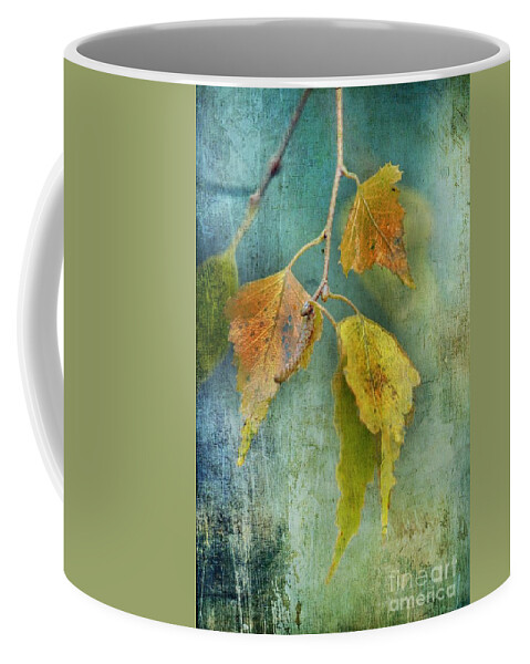 Blue Coffee Mug featuring the photograph Effeuillantine - 15t12 by Variance Collections