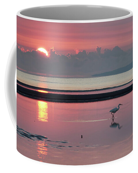 Dawn Coffee Mug featuring the photograph Egret fishing at Dawn by Robert Charity