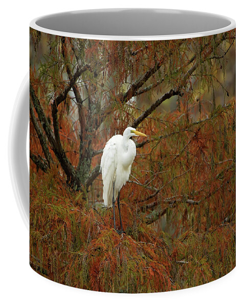 Egret Coffee Mug featuring the photograph Egret in Autumn by Eilish Palmer