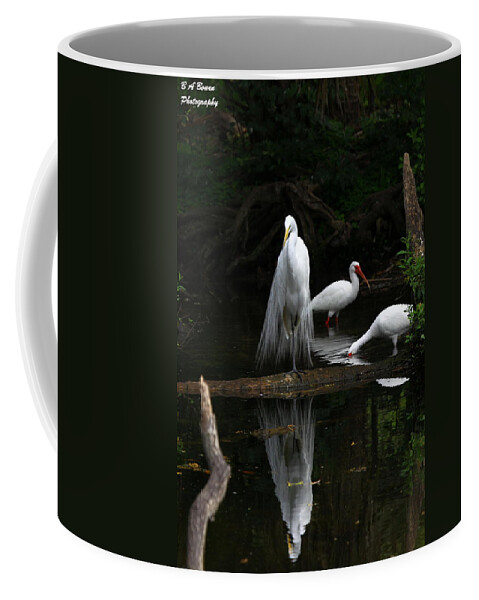 Great White Egret Coffee Mug featuring the photograph Egret Reflection by Barbara Bowen
