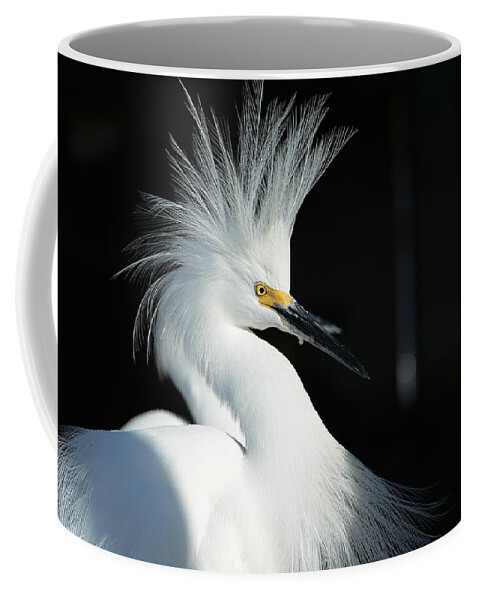 Snowy Egret Coffee Mug featuring the photograph Electrifying by Fraida Gutovich
