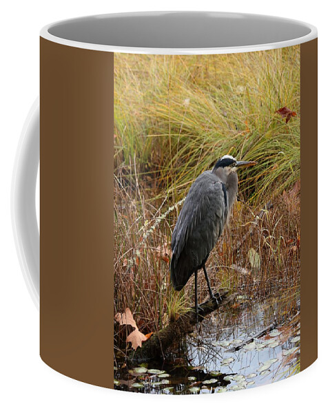 Great Blue Heron Coffee Mug featuring the photograph Elements of Nature by I'ina Van Lawick