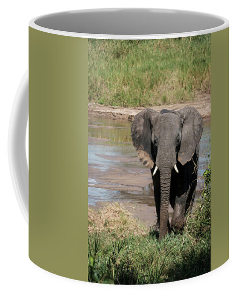Africa Coffee Mug featuring the photograph Elephant at the River by Mary Lee Dereske