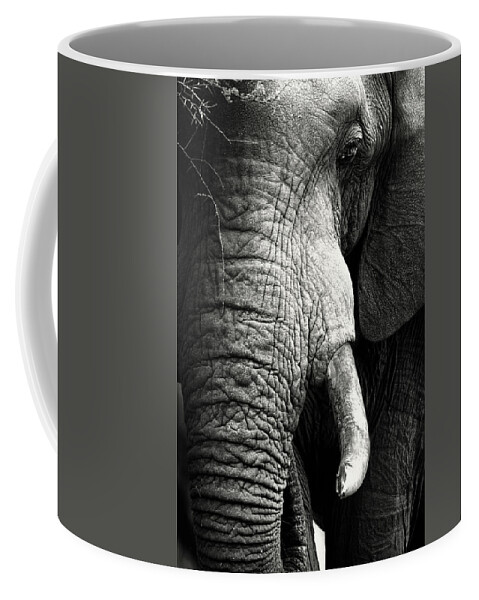 Elephant Coffee Mug featuring the photograph Elephant close-up portrait by Johan Swanepoel