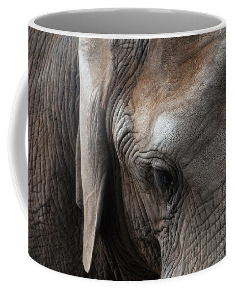 Elephant Coffee Mug featuring the photograph Elephant Eye by Lorraine Devon Wilke