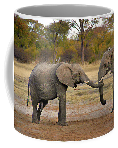 Elephant Coffee Mug featuring the photograph Elephant Greeting by Ted Keller