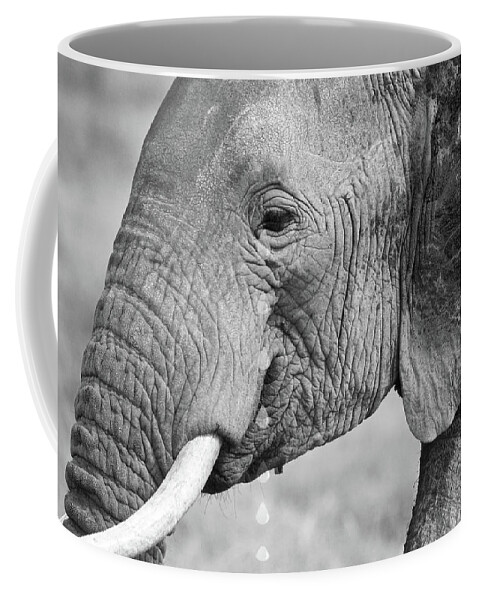 Elephant Coffee Mug featuring the photograph Elephant Tears in Black and White by Gill Billington