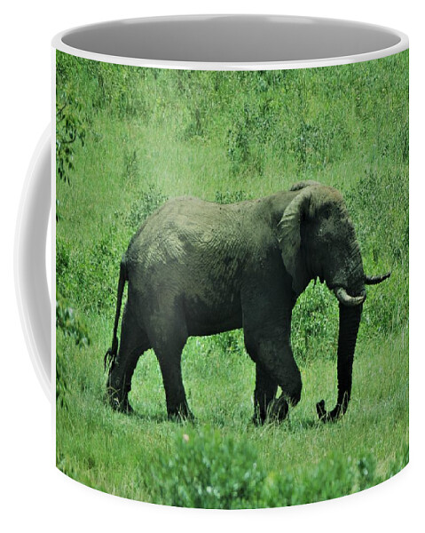 Elephant Coffee Mug featuring the photograph Elephant Walks by Vijay Sharon Govender