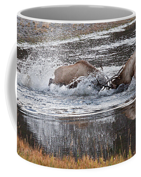 Elk Coffee Mug featuring the photograph Elk Fight by Wesley Aston
