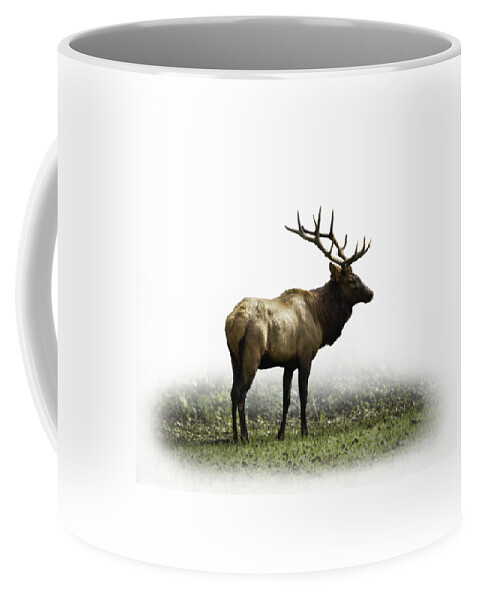 Elk Coffee Mug featuring the photograph Elk III by Debra and Dave Vanderlaan