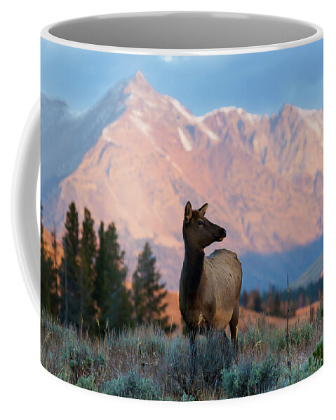 Elk Coffee Mug featuring the photograph Elk Majesty by Mark Miller