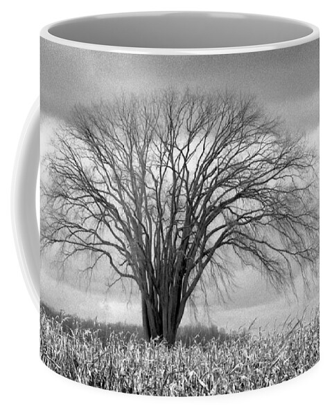 Elm Coffee Mug featuring the photograph Elm Fortress by Jill Love
