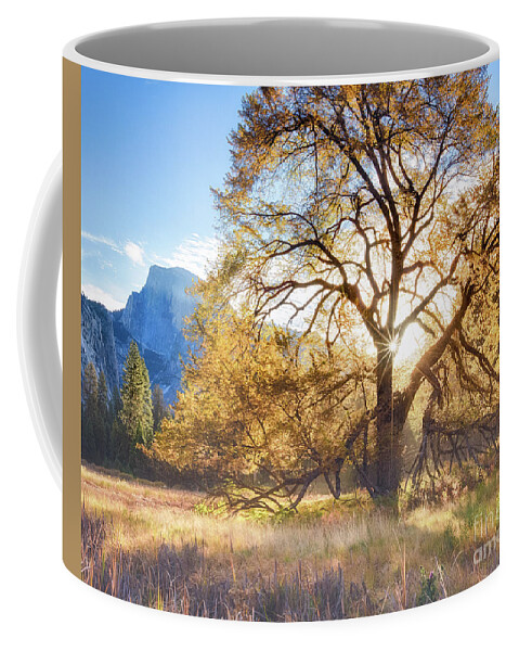 A Captured Moment Of Yosemite's Cooks Meadow In Autumn. Coffee Mug featuring the photograph Elm Tree Cooks Meadow by Anthony Michael Bonafede