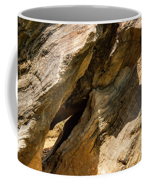 Roanoke Coffee Mug featuring the photograph Elmwood Park Rock Cropping by Bob Phillips