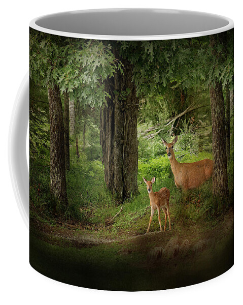 Deer Print Coffee Mug featuring the photograph Enchanted Forest Deer Print by Gwen Gibson