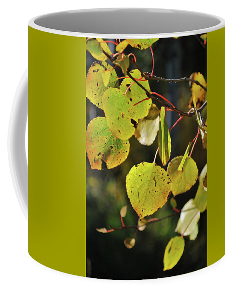 Nature Coffee Mug featuring the photograph End Of Summer by Ron Cline