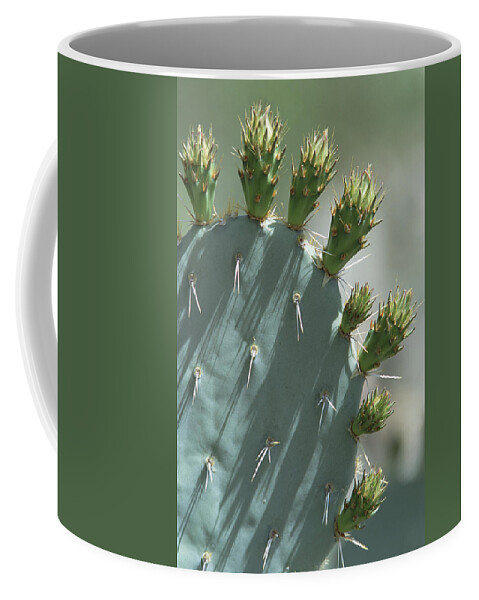 Mp Coffee Mug featuring the photograph Engelmann Prickly Pear Opuntia by Konrad Wothe