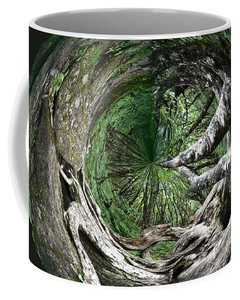 Cellar Coffee Mug featuring the photograph Enter The Root Cellar by Gary Smith