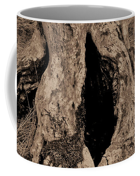 Farmboyzim Coffee Mug featuring the photograph Entrance to... by Harold Zimmer