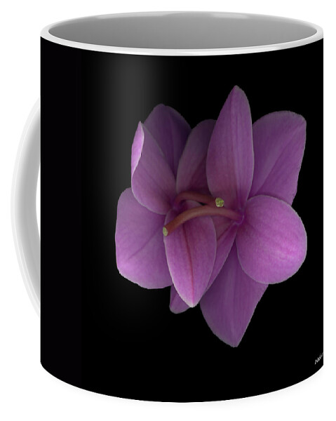 Limited Edition 1 Of 250 Coffee Mug featuring the photograph Entwined by Heather Kirk