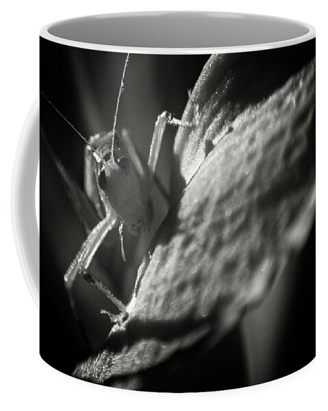 Cricket Infrared Insect Ir Infra Red Closeup Close-up Close Up Macro Scary Creepy Eraserhead Brian Hale Brianhalephoto Black And White Bnw Leaf Foliage Monster Coffee Mug featuring the photograph Eraserhead Cricket by Brian Hale