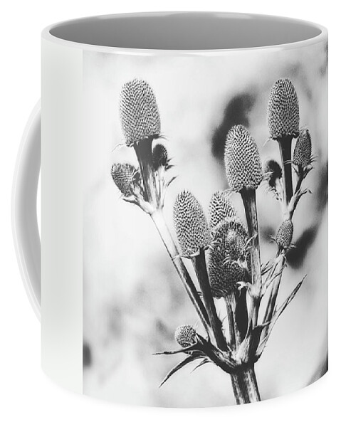 Beautiful Coffee Mug featuring the photograph Eryngium
#flower #flowers by John Edwards