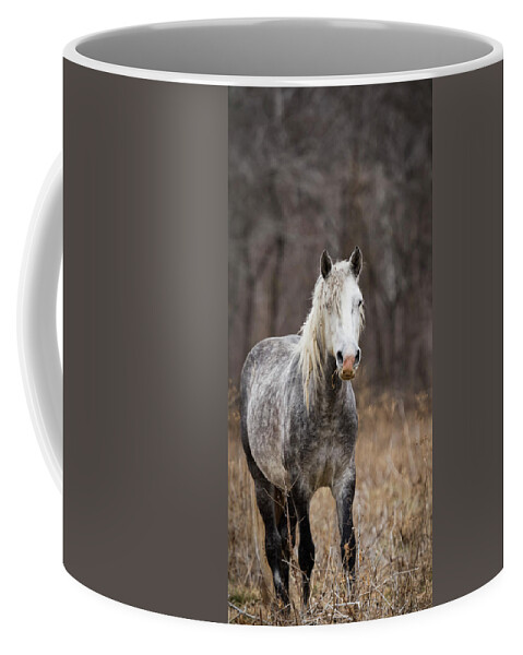 Horse Coffee Mug featuring the photograph Escape by Holly Ross
