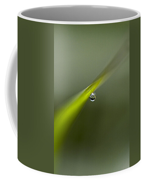 Essence Of Life Coffee Mug featuring the photograph Essence Of Life by Marty Saccone