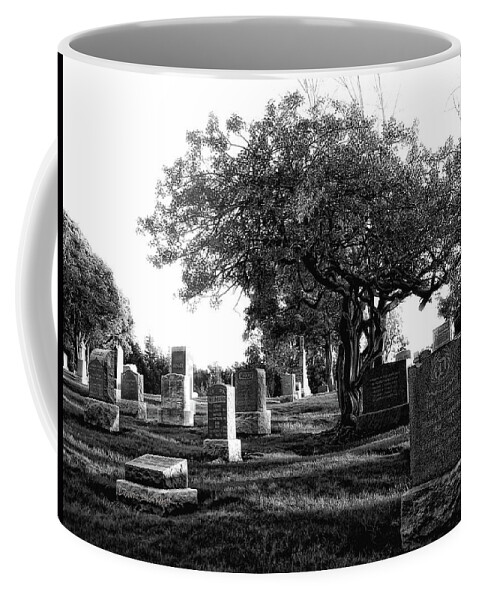 Grave Coffee Mug featuring the photograph Etched In Stone by Donna Blackhall