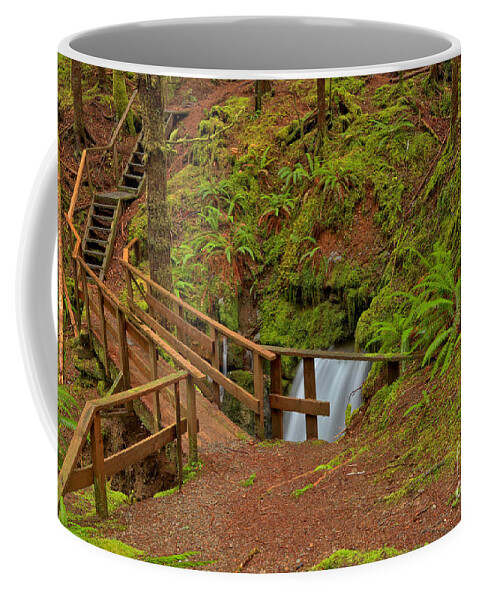 Eternal Fountain Coffee Mug featuring the photograph Eternal Fountain British Columbia by Adam Jewell