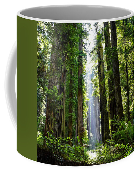 Redwood Tree Coffee Mug featuring the photograph Ethereal Tree by Rand Ningali