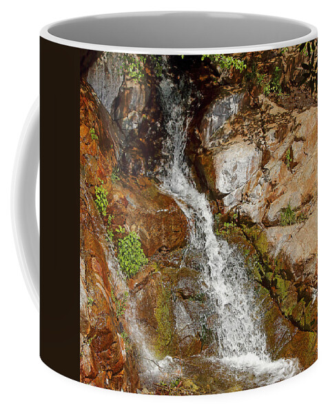 Etiwanda Waterfalls Coffee Mug featuring the photograph Etiwanda Waterfalls by Viktor Savchenko