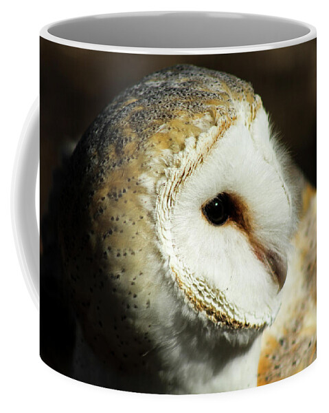 Owl Coffee Mug featuring the photograph European Barn Owl by Holly Ross
