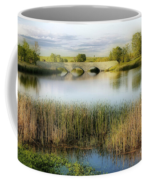 Bridge Coffee Mug featuring the photograph Evening Calm by Teresa Zieba